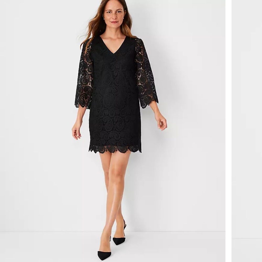 Ann Taylor v neck lace shift dress